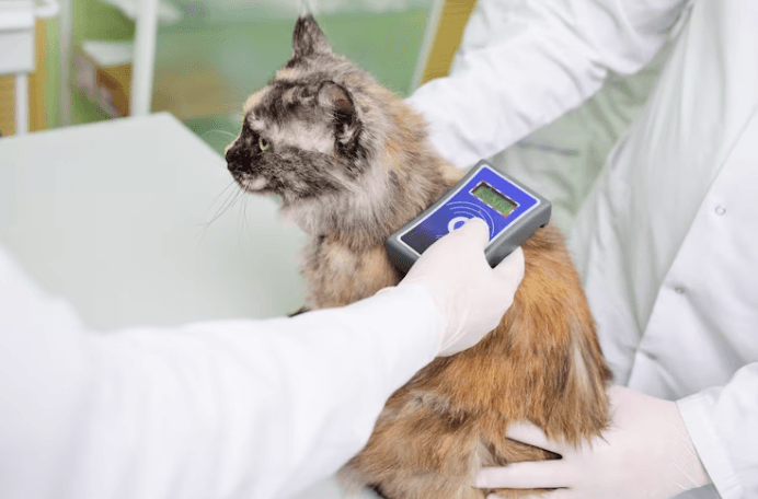 Pet Microchipping
