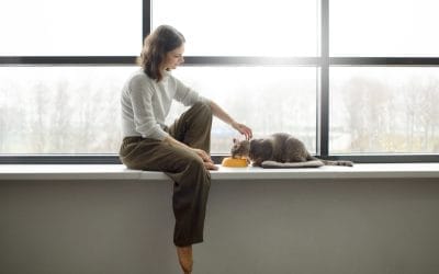 Holistic Veterinary Care: A Comprehensive Approach