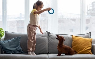 Active Play for Indoor Pets: Key to Health