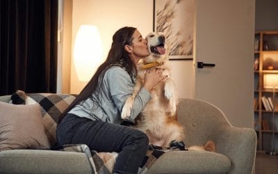 The Comfort of Home: Transforming Pet Care for Seniors