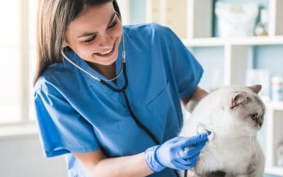 The Benefits of Early Detection: How Pet Diagnostics Can Save Lives