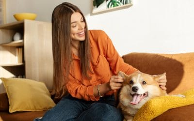 What Every Pet Owner Should Know About Preventative Vet Visits