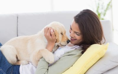 Are Your Beloved Pet’s Vaccines Up to Date?